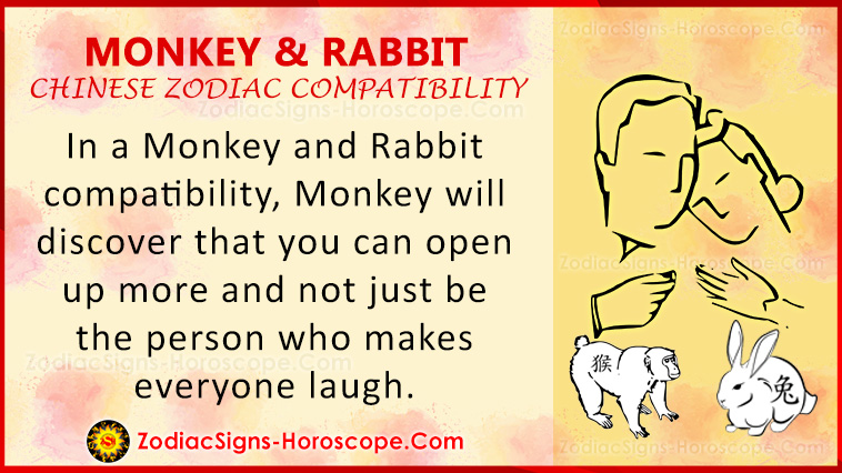 Monkey and Rabbit Compatibility