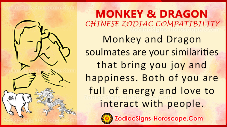 Monkey and Dragon Compatibility