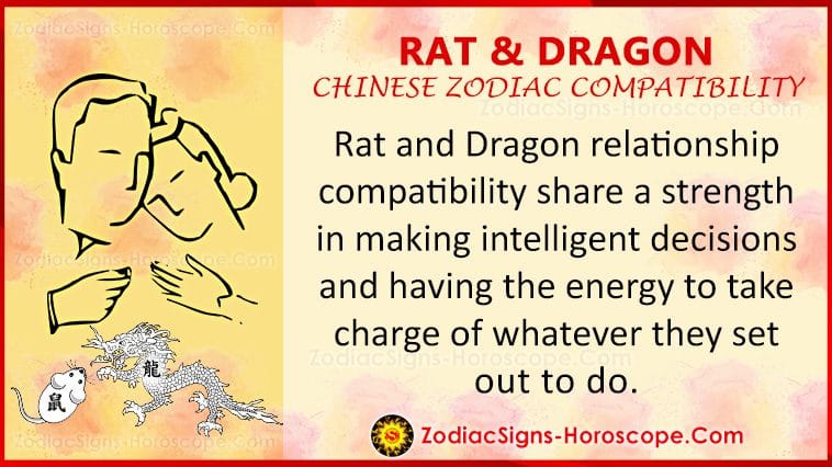 Rat and Dragon Love Compatibility