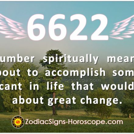 6655 angel number meaning love