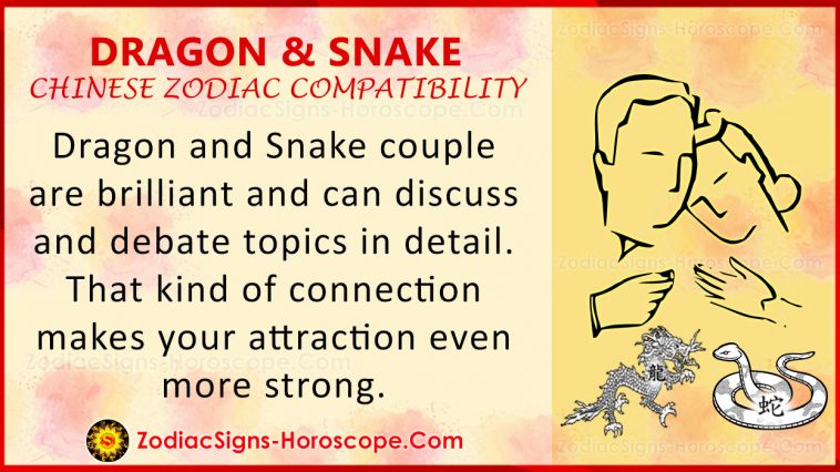 Dragon and Snake Compatibility