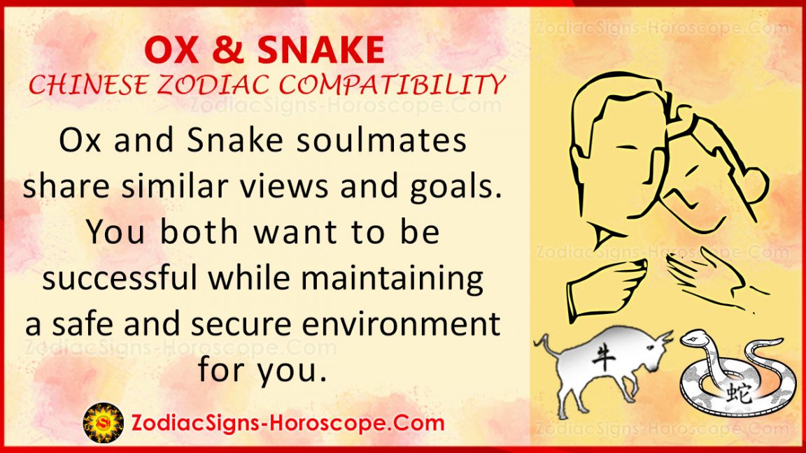 Ox and Snake Love Compatibility, Relationship & Traits in Chinese Zodiac