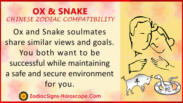 Ox and Snake Love Compatibility, Relationship & Traits in Chinese Zodiac