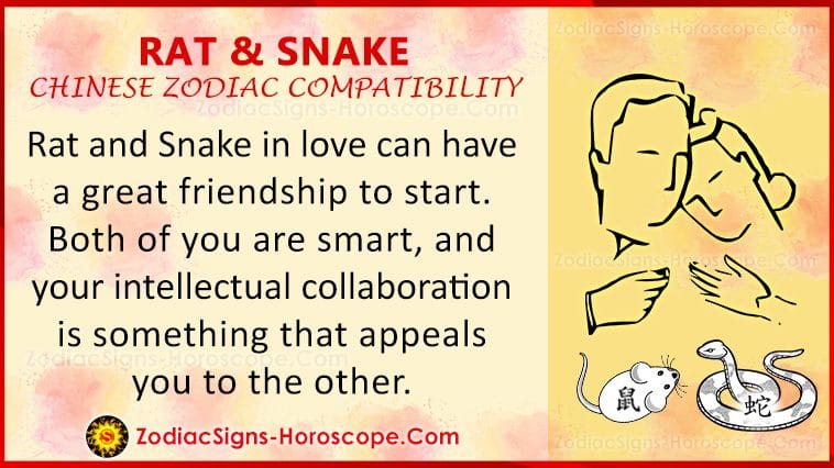 chinese new year snake compatibility