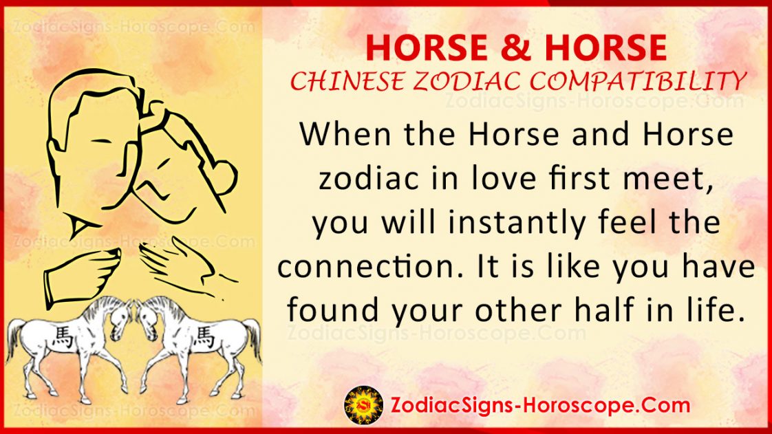 Horse and Horse Chinese Zodiac Compatibility Love and Relationship