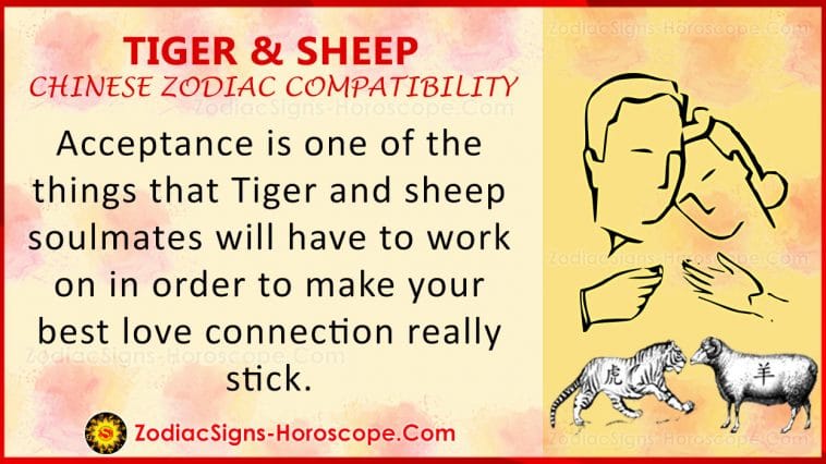Tiger and Sheep Love Compatibility