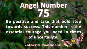 Angel Number 69 Meaning: Uplifting Your Life through Refocusing | ZSH