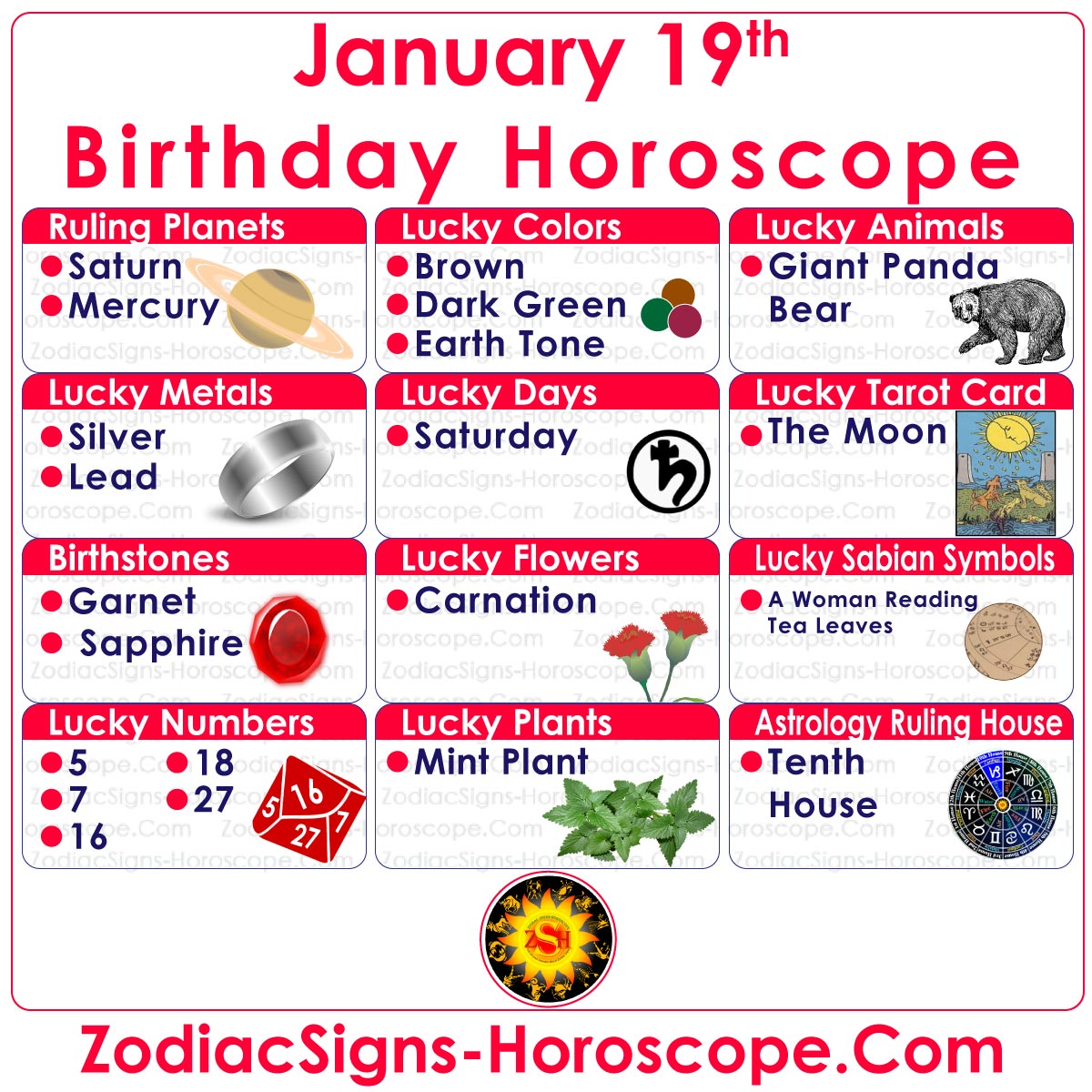 horoscop capricorn 19 januaryie