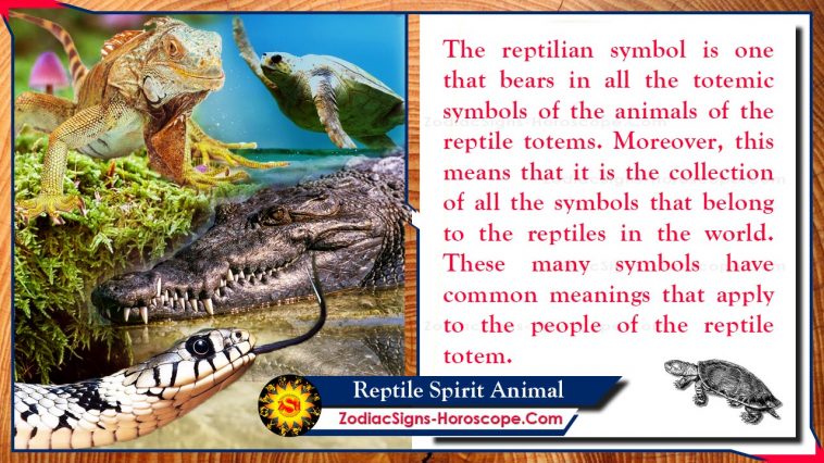 Reptile Spirit Animal Totem Իմաստը