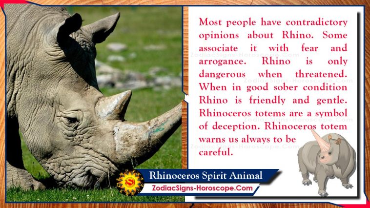 Тотем тварин духу носорога