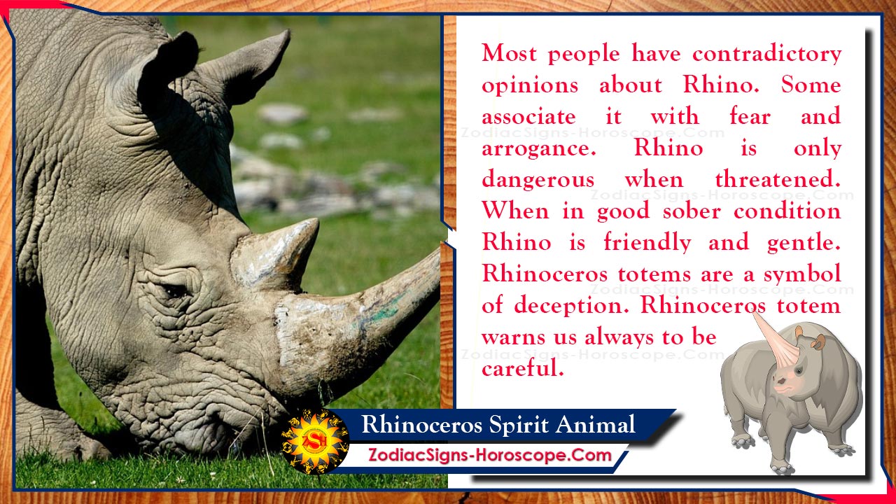 Rhinoceros Spirit Animal: Totem, Meaning, Messages and Symbolism