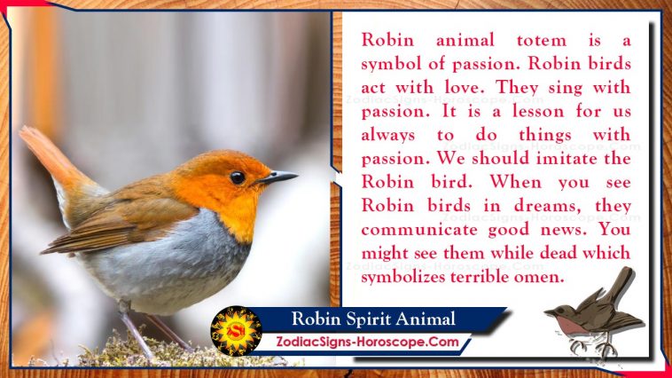 Robin Spirit zviera