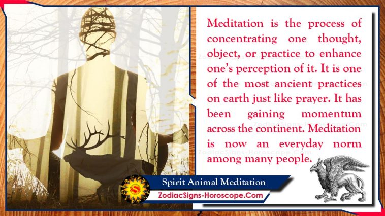 Meditazione degli animali spirituali