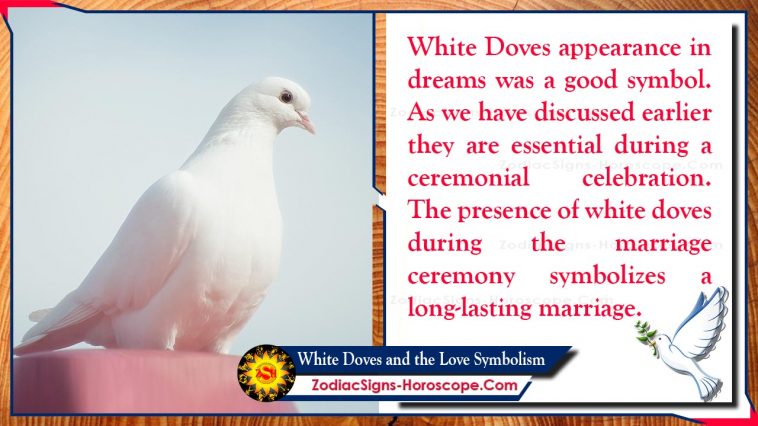 Bijeli golubovi ljubavni simbolizam