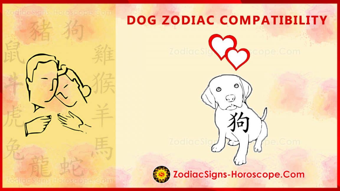 Dog Compatibility, Love and Marriage Chinese Zodiac Compatibility