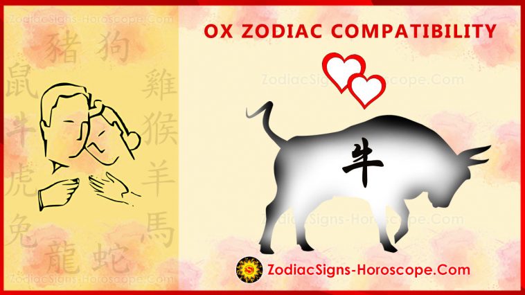 Ox Compatibility - Ox Love Compatibility