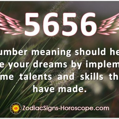 Rat and Horse Love Compatibility, Relationship & Traits in Chinese Zodiac