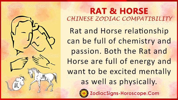 Rat And Horse Love Compatibility Relationship Traits In Chinese