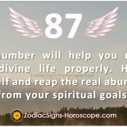 Angel Number 89 Meaning: Prosperity in Charity | 89 Angel Number | ZSH