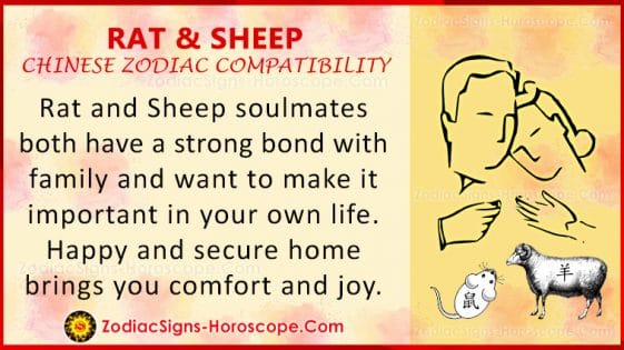 Rat and Sheep Love Compatibility, Relationship & Traits in Chinese Zodiac