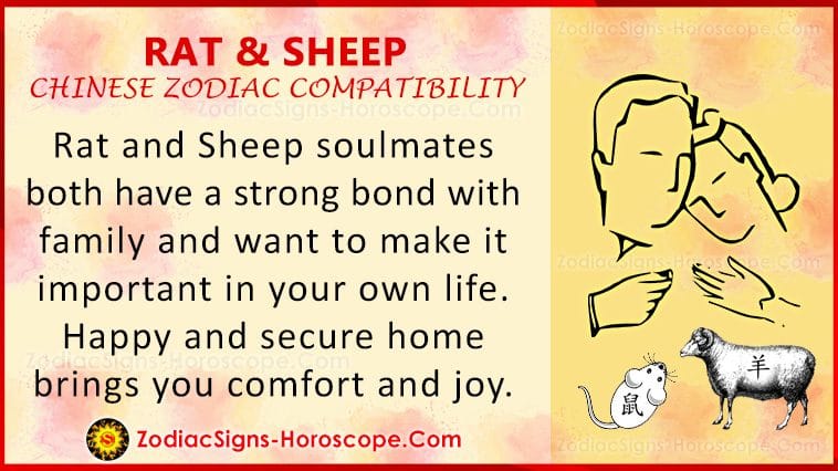 Rat And Sheep Love Compatibility Relationship Traits In Chinese