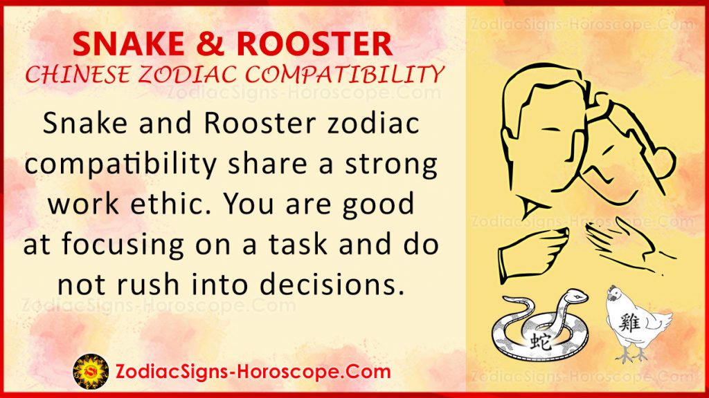 Snake and Rooster Chinese Zodiac Compatibility Love and Relationship