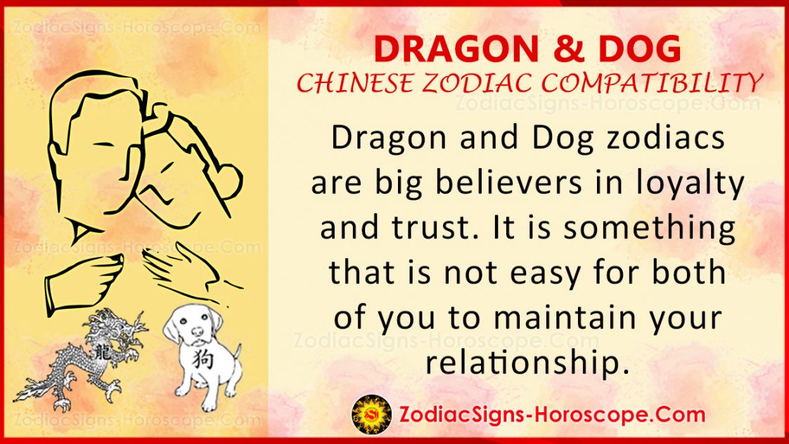 Dragon and Dog Chinese Zodiac Compatibility Love and Relationship