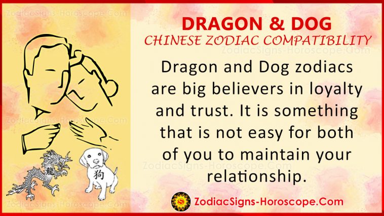 Dragon And Dog Chinese Zodiac Compatibility Love And Relationship