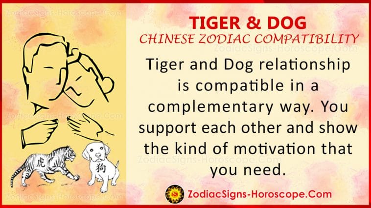 Tiger and Dog Chinese Compatibility
