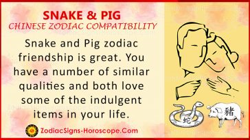 Snake and Pig Chinese Zodiac Compatibility: Love and Relationship | ZSH