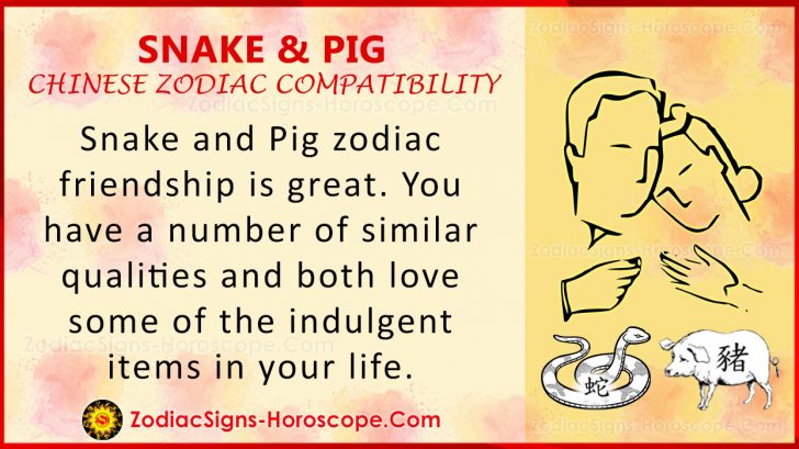 Snake and Pig Chinese Zodiac Compatibility: Love and Relationship | ZSH