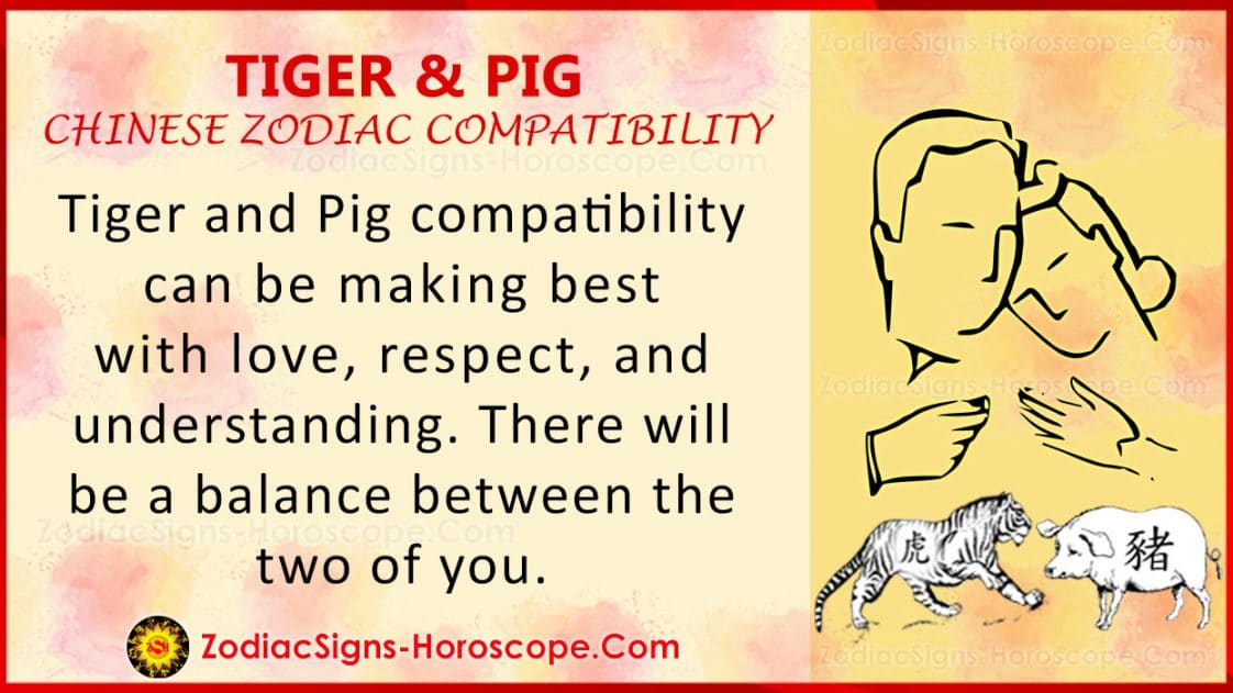 Tiger and Pig Chinese Zodiac Compatibility Love and Relationship ZSH