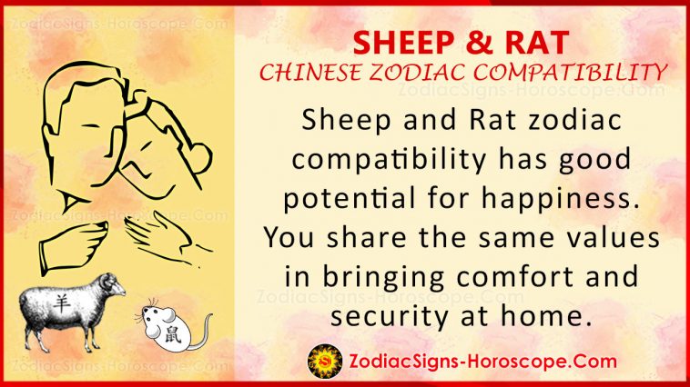 Sheep at Rat Chinese Zodiac Compatibility