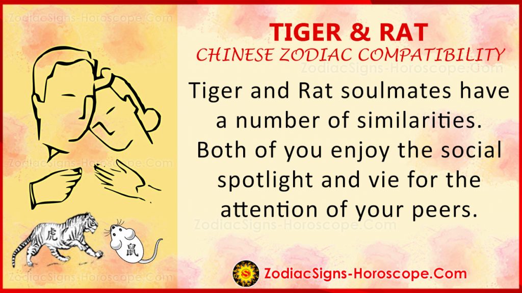Tiger and Rat Love Compatibility, Relationship & Traits in Chinese Zodiac