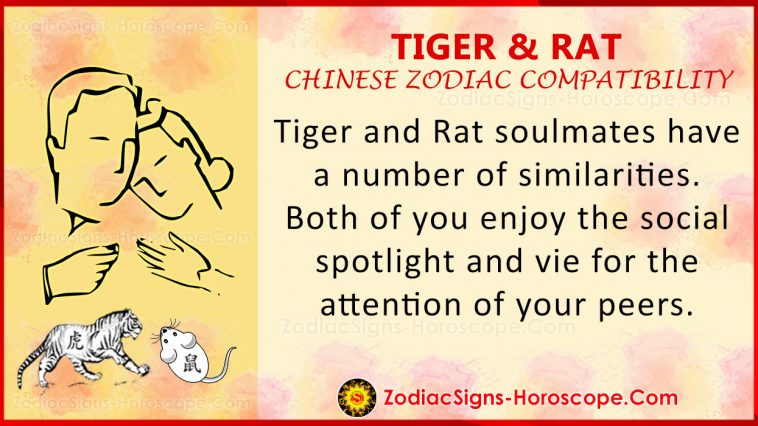 Tigris és patkány szerelmi kompatibilitás