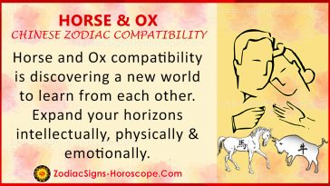 Horse and Ox Chinese Zodiac Compatibility: Love and Relationship | ZSH