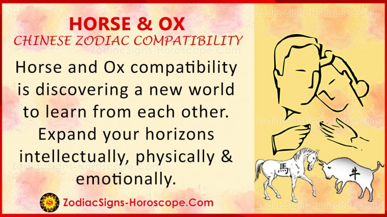 Compatibilidad del horóscopo chino con el caballo y el buey