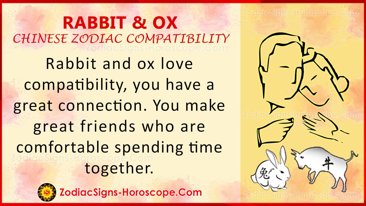Rabbit and Ox Chinese Zodiac Compatibility Love and Relationship ZSH