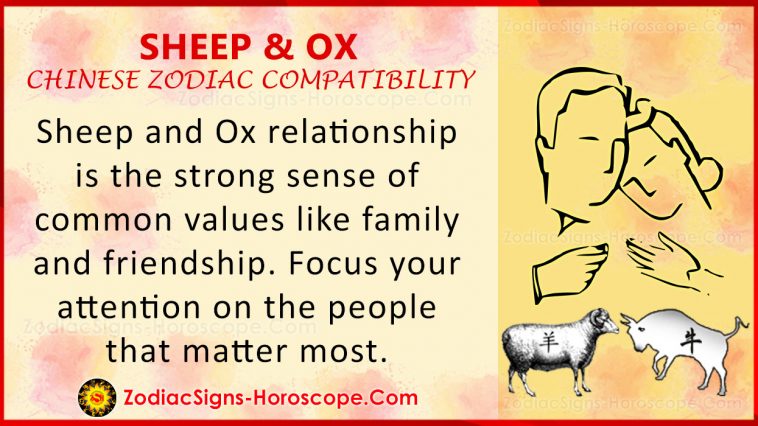 Compatibilidad con el zodiaco chino de ovejas y bueyes