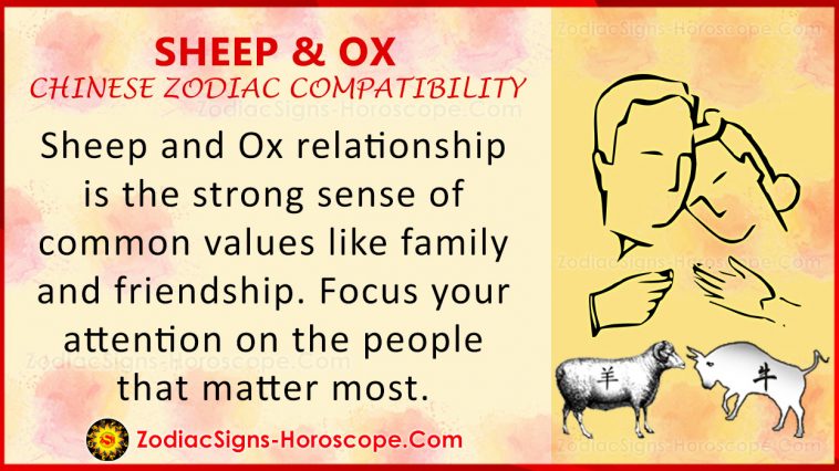 Sheep at Ox Chinese Zodiac Compatibility