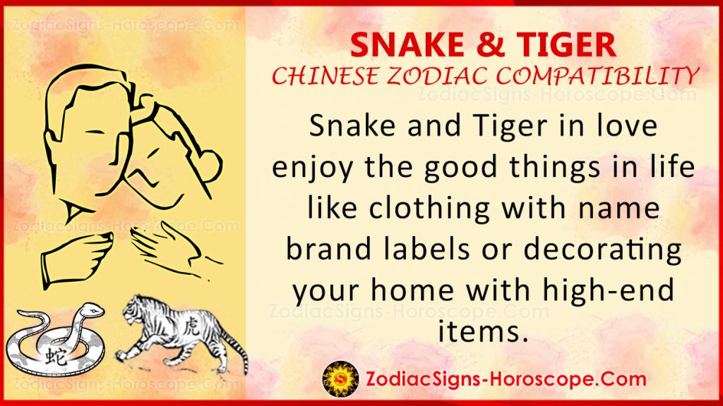 Snake and Tiger Chinese Zodiac Compatibility Love and Relationship