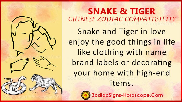 Khả năng tương thích của con rắn và con hổ theo cung hoàng đạo Trung Quốc