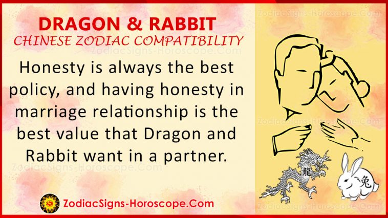 Compatibilità drago e coniglio