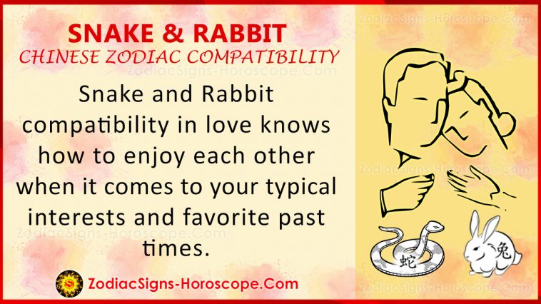 Compatibilità con lo zodiaco cinese serpente e coniglio