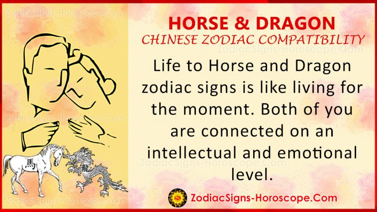 Häst och drake kompatibilitet med kinesisk zodiak