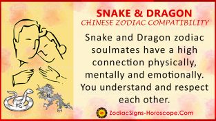 Snake and Dragon Chinese Zodiac Compatibility: Love and Relationship