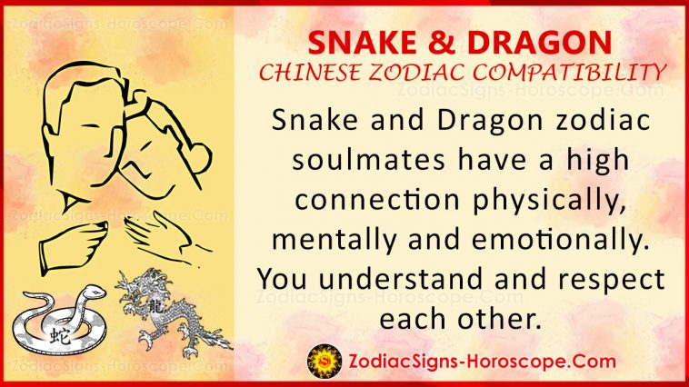 Compatibilidade do Zodíaco Chinês de Serpente e Dragão