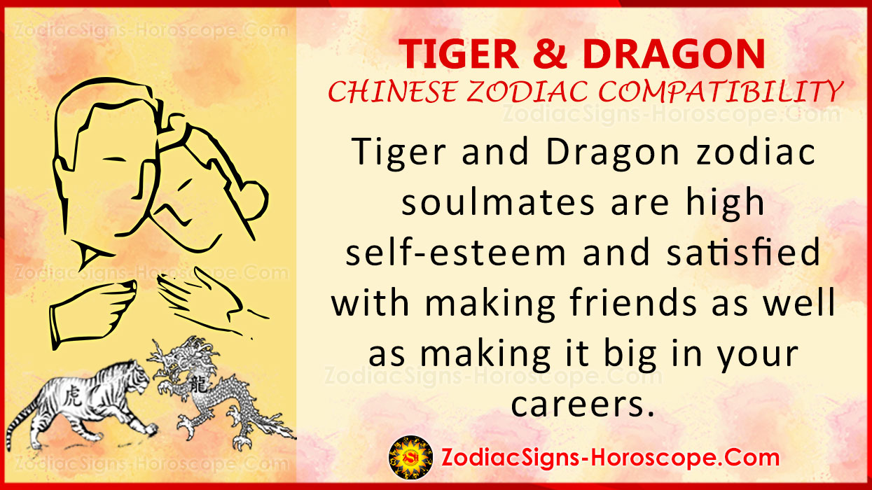 Love dragon compatibility and tiger Dragon Relationship