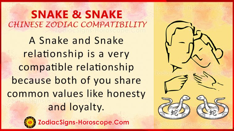 Snake And Snake Chinese Zodiac Compatibility Love And Relationship