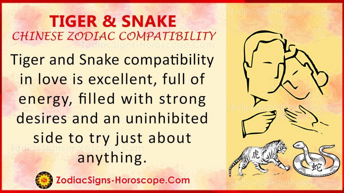Tiger and Snake Love Compatibility, Relationship, Traits in Chinese Zodiac